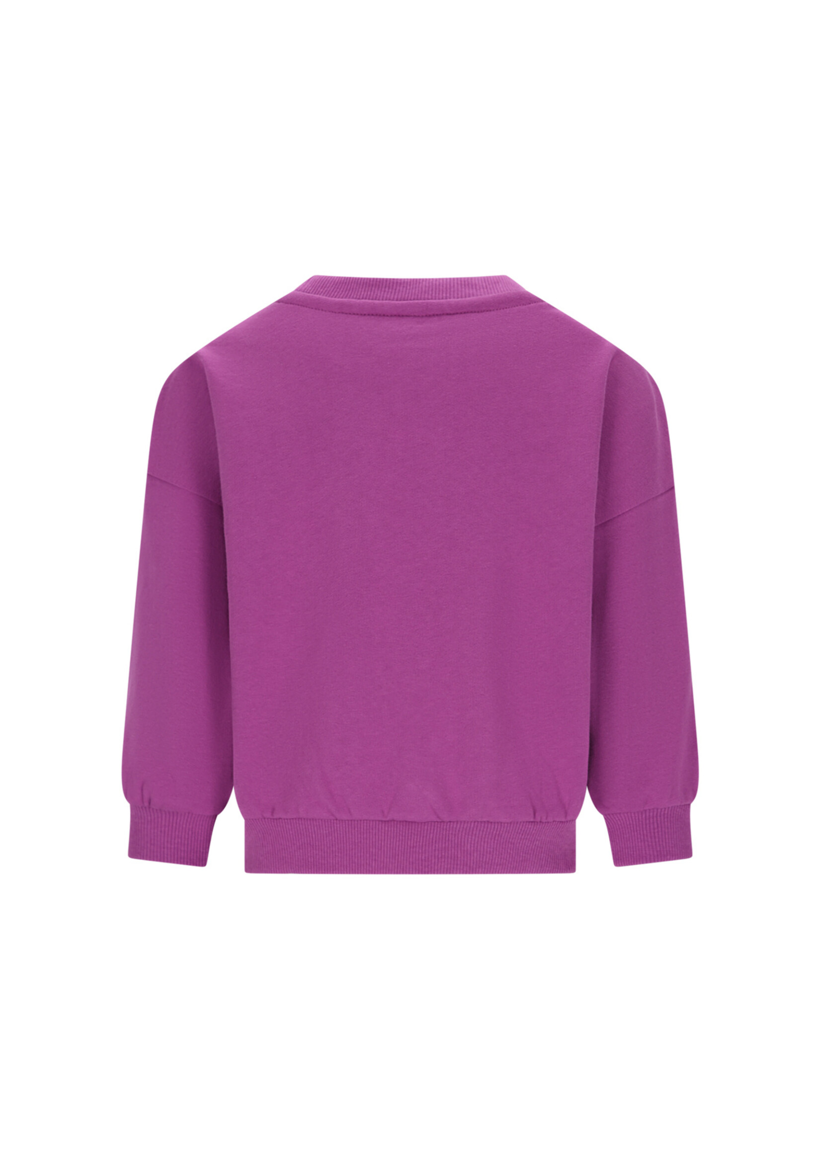 The New Chapter Bille The New Chapter sweater Hyacinth violet