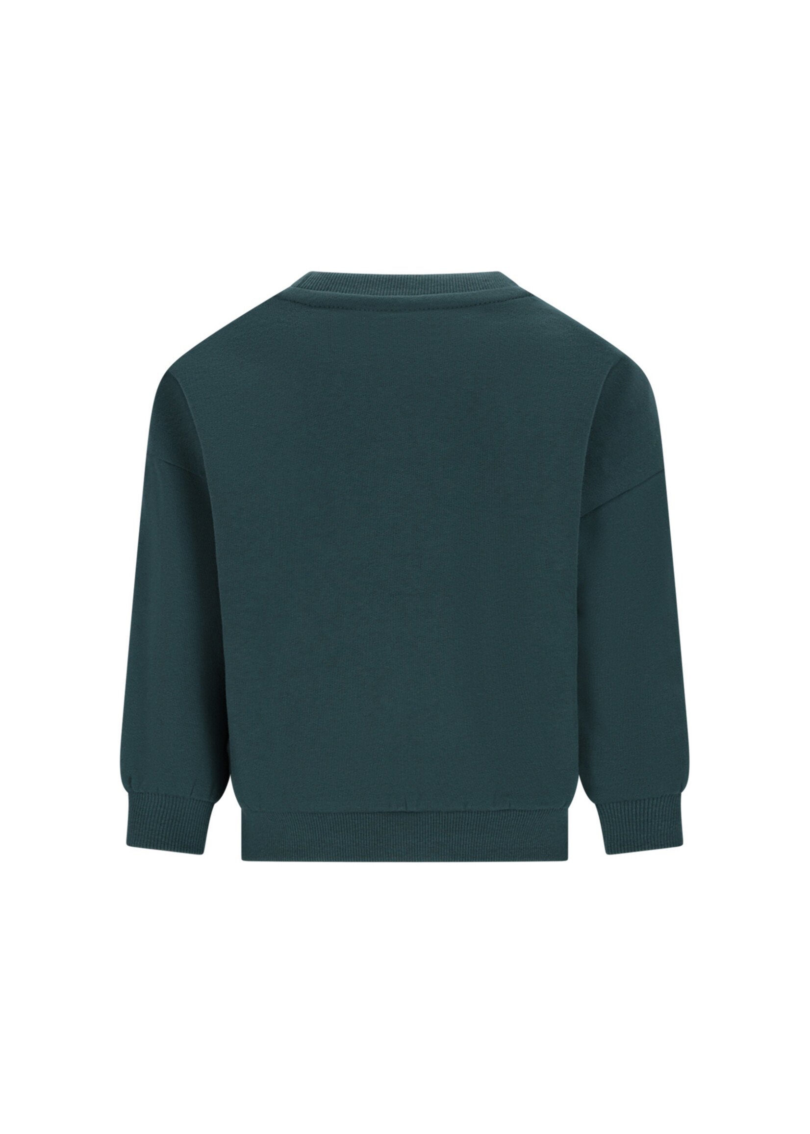 The New Chapter Bille The New Chapter sweater Jasper green