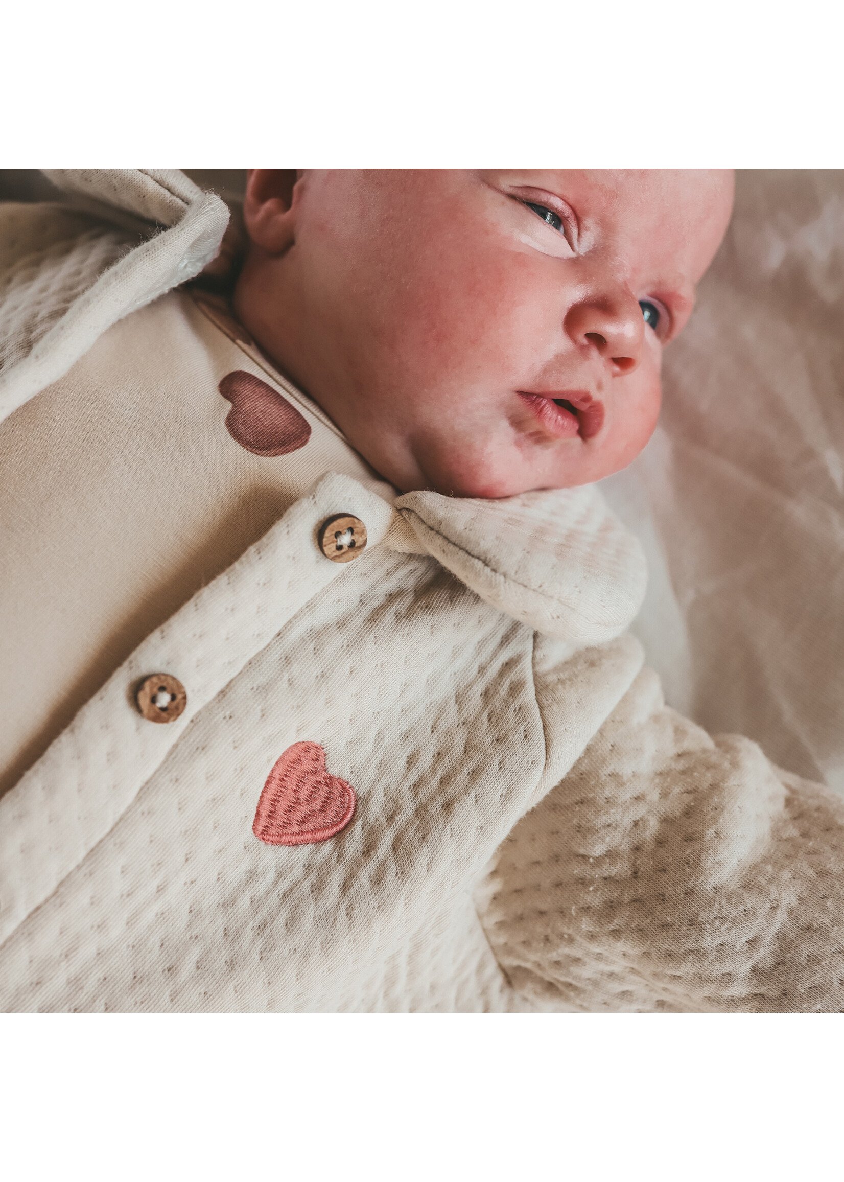 Your Wishes Quilted jersey - Cardigan Oyster gray