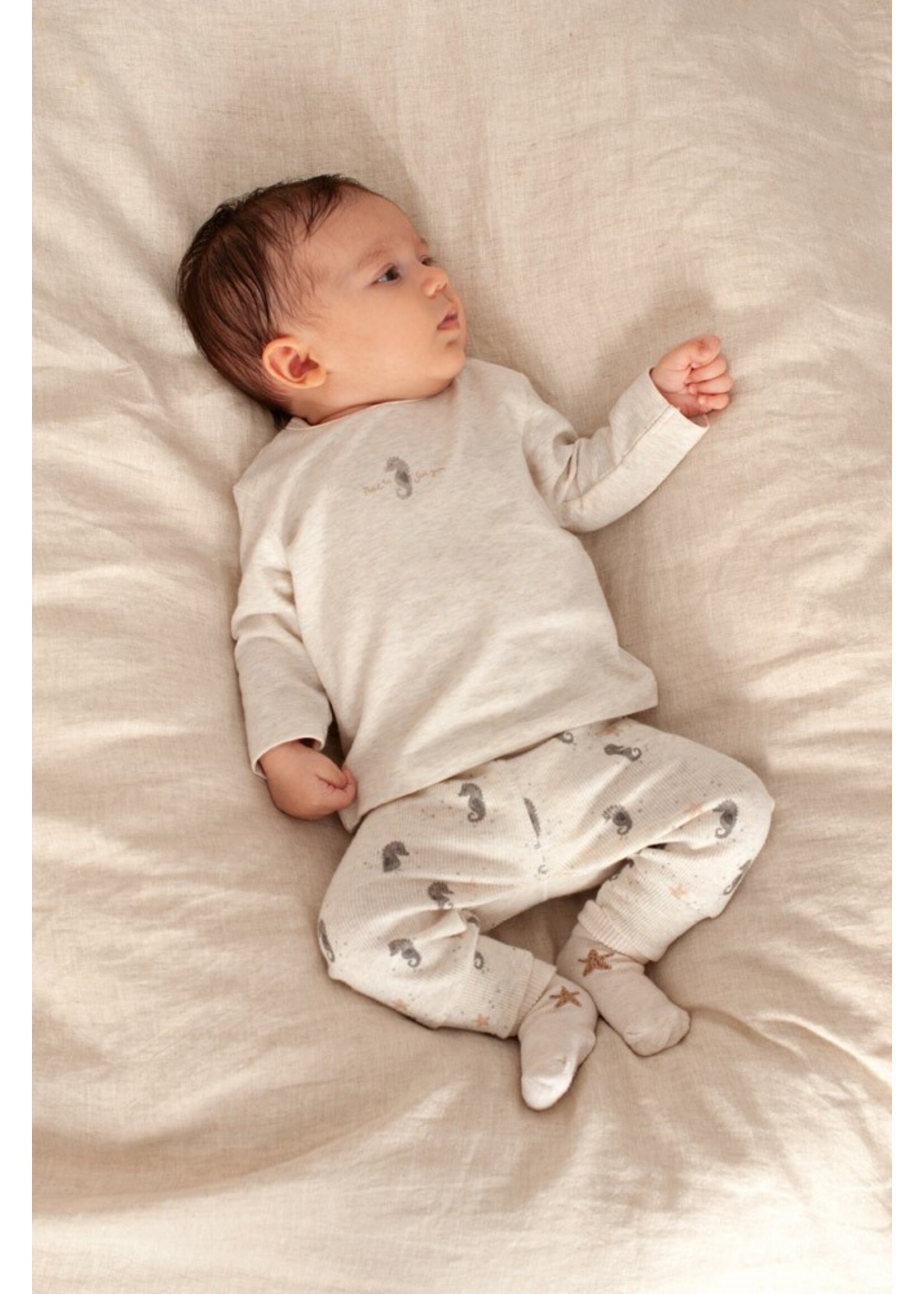 Feetje Broek Rib AOP - Sea Sweeties