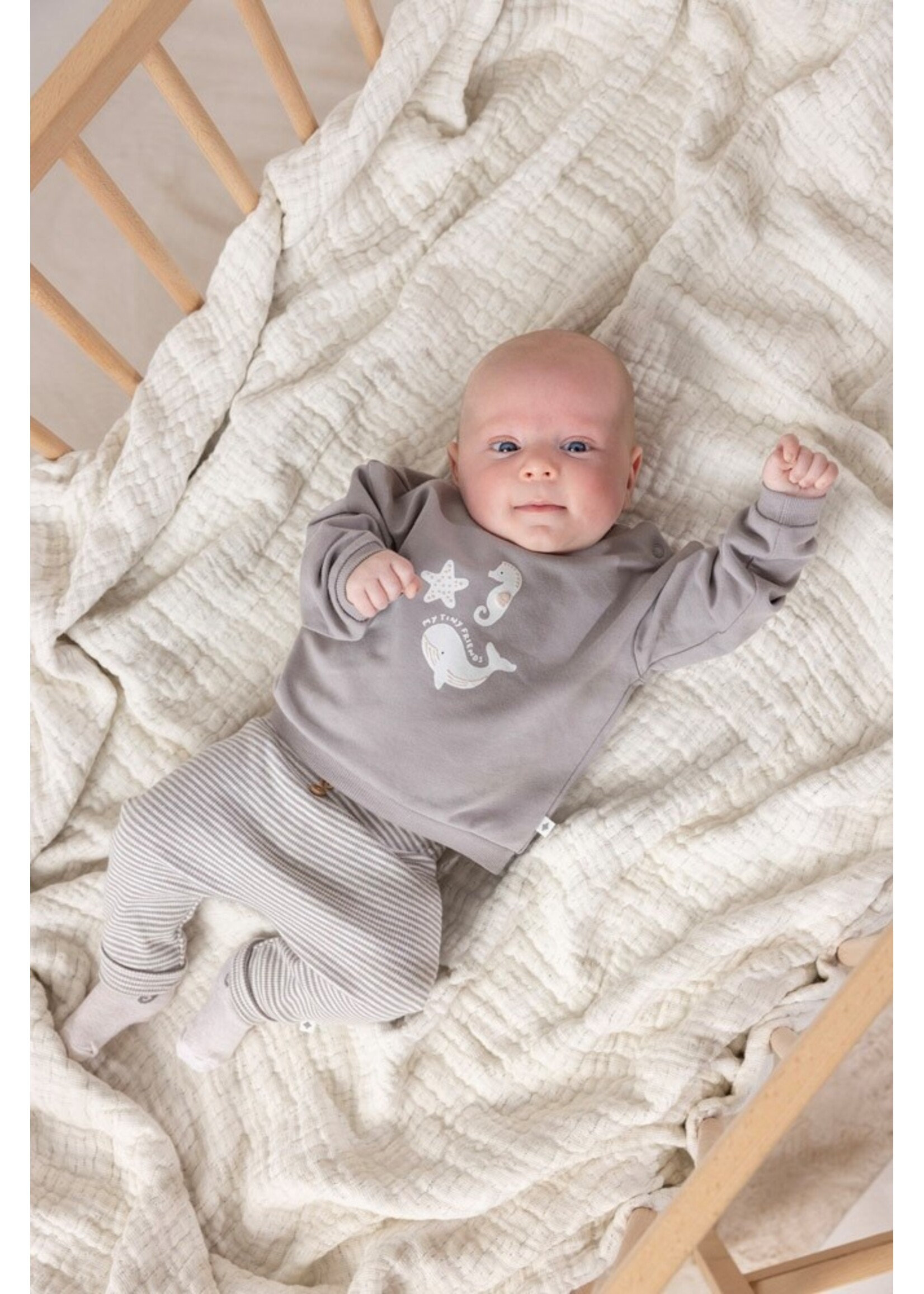 Feetje Broek Rib Met Streep - Sea Sweeties