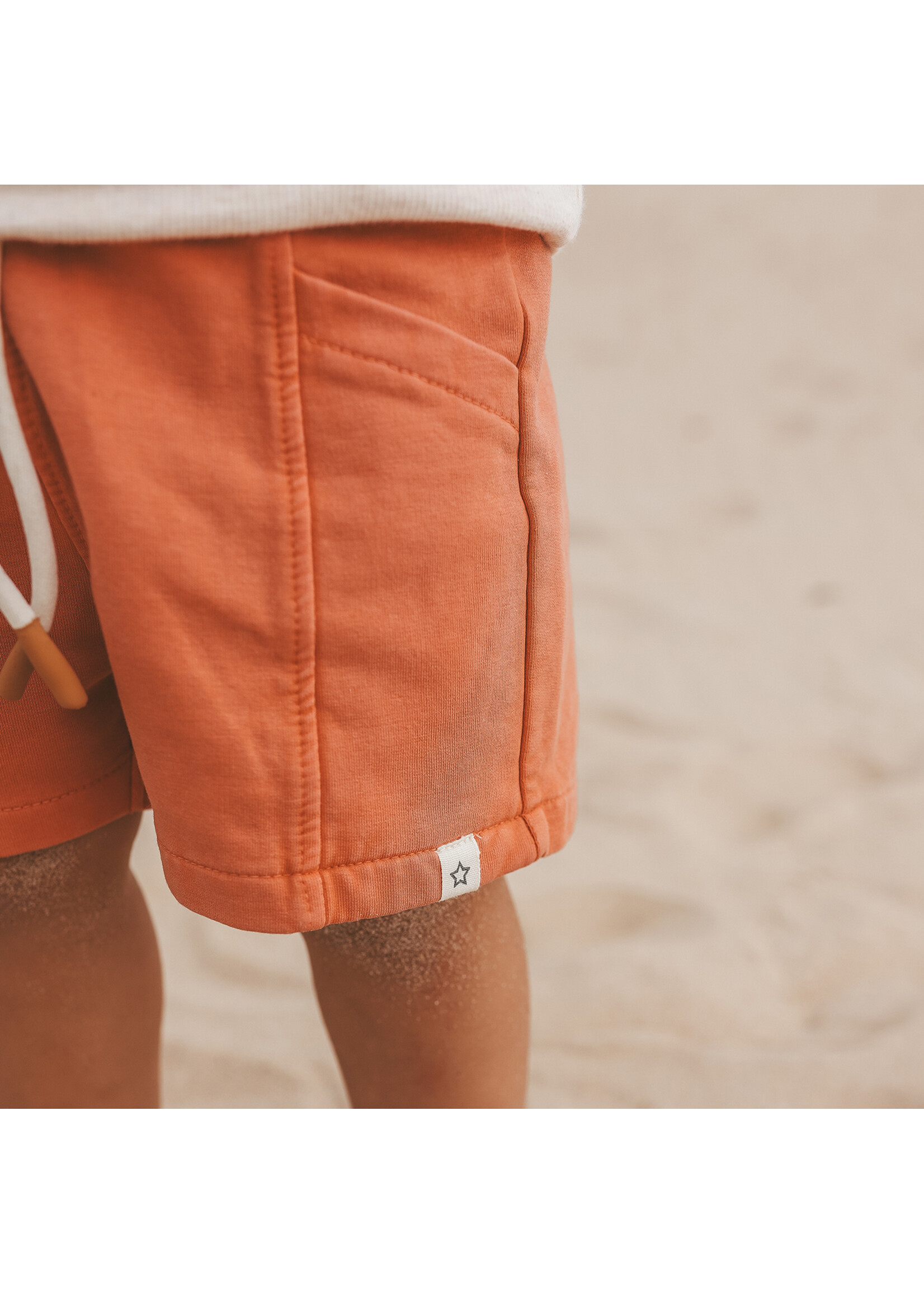 Your Wishes Relaxed Shorts Ginger