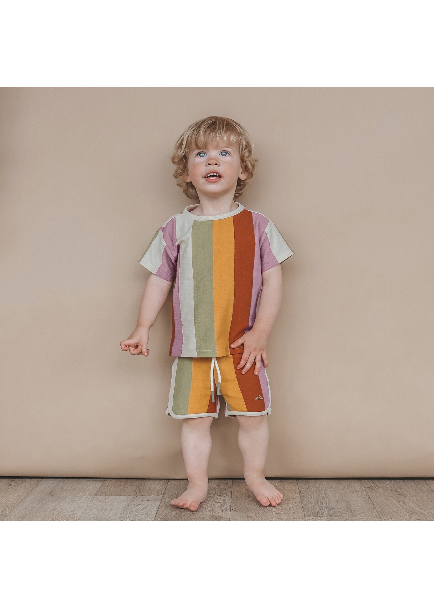 salted stories Multi Stripe Regular Tee - Multicolor