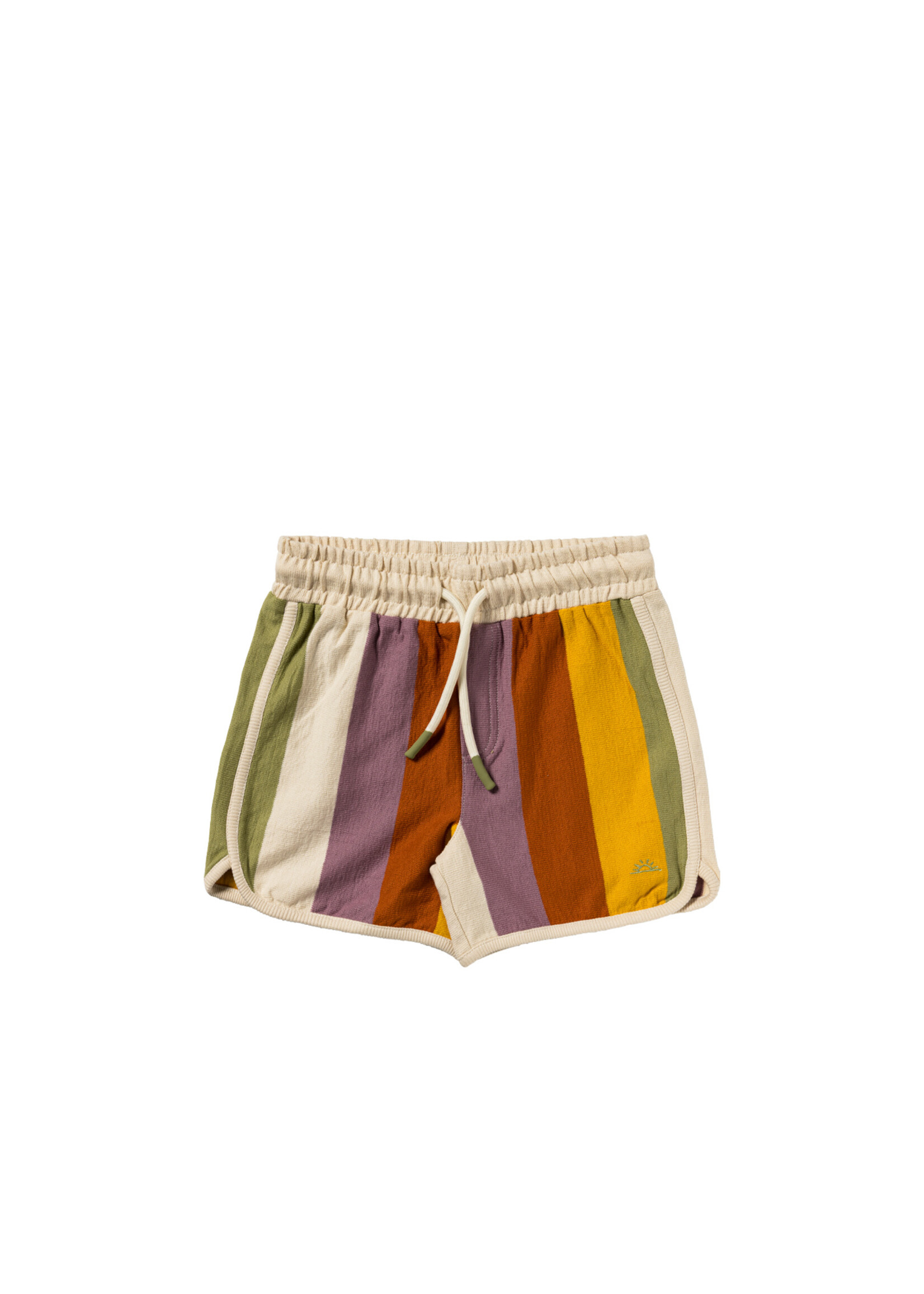 salted stories Multi Stripe Shorts - Multicolor