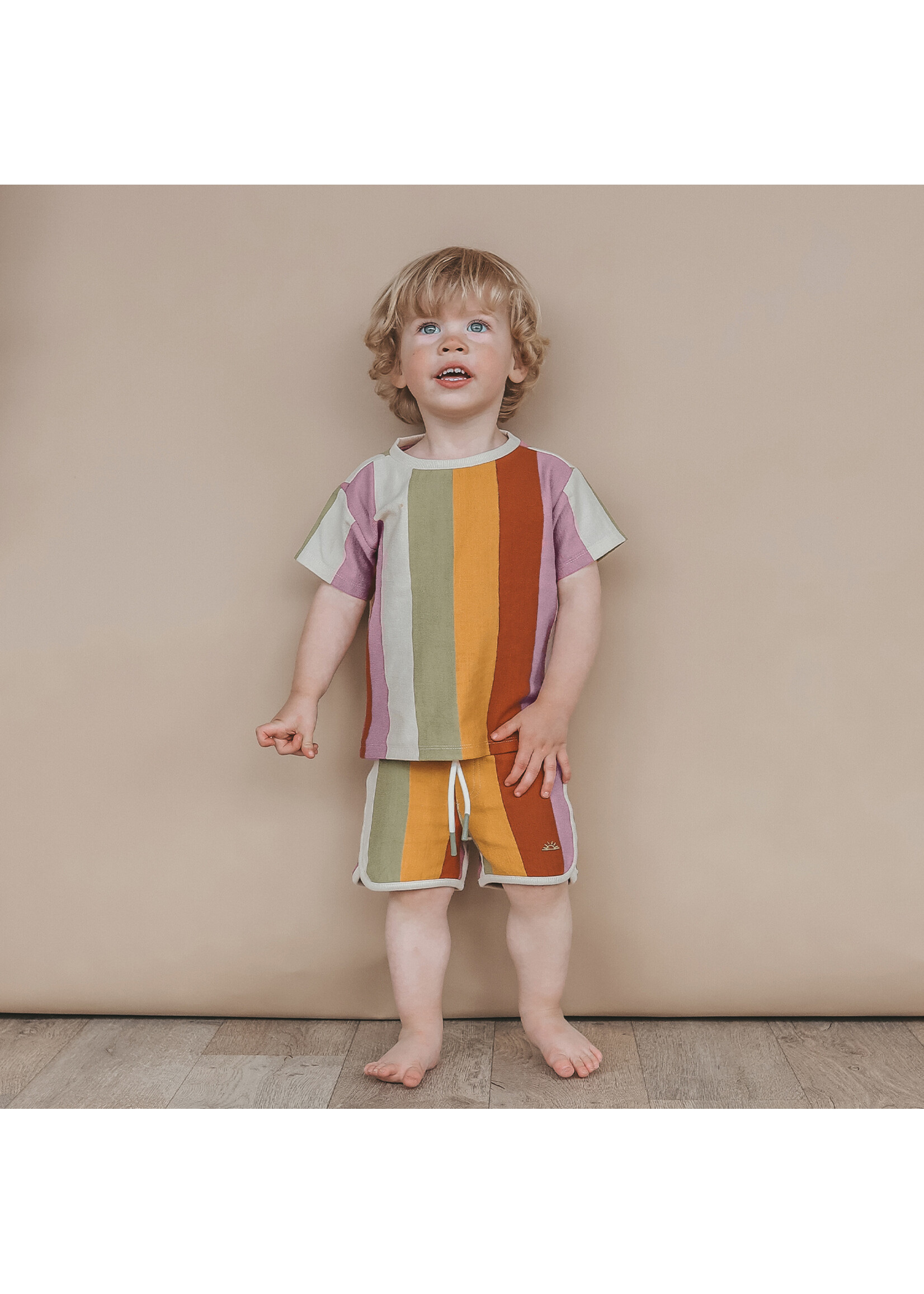 salted stories Multi Stripe Shorts - Multicolor