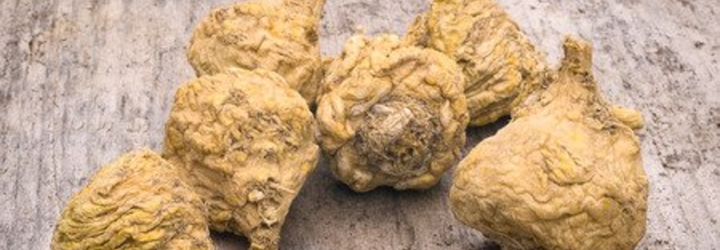 Potenz steigern mit natürlichen Potenzmitteln - Potenzmittel.com