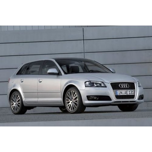 Dakdragers Audi A3