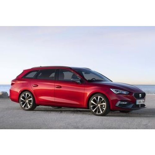 Dakdragers Seat Leon