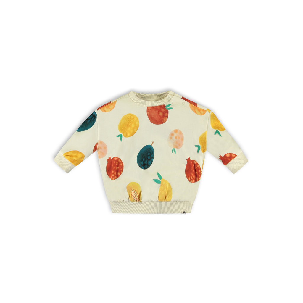 The New Chapter The New Chapter | Oversized sweater - Funky Fruit