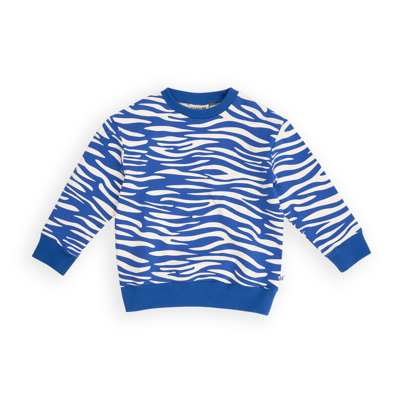 Zebra - Sweater