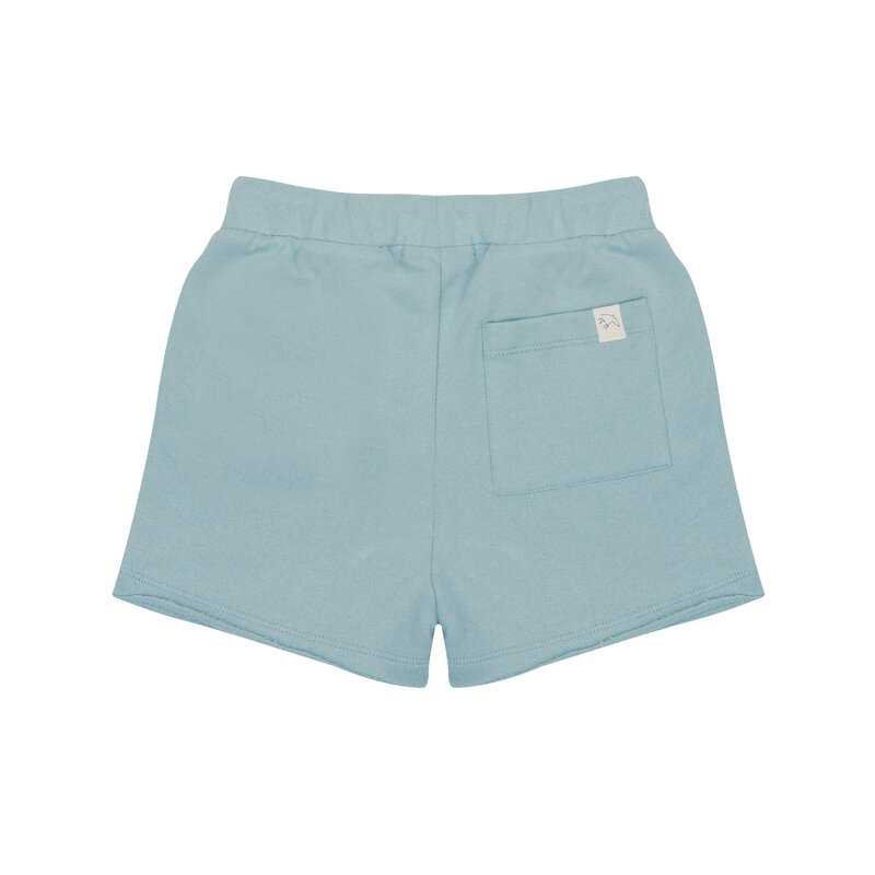 Beam shorts - Sky Blue