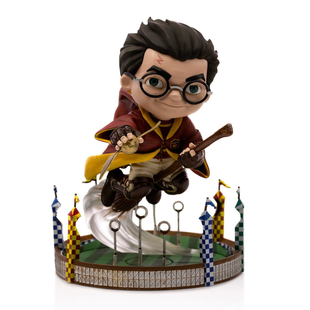 Harry Potter: Harry at The Quidditch Match