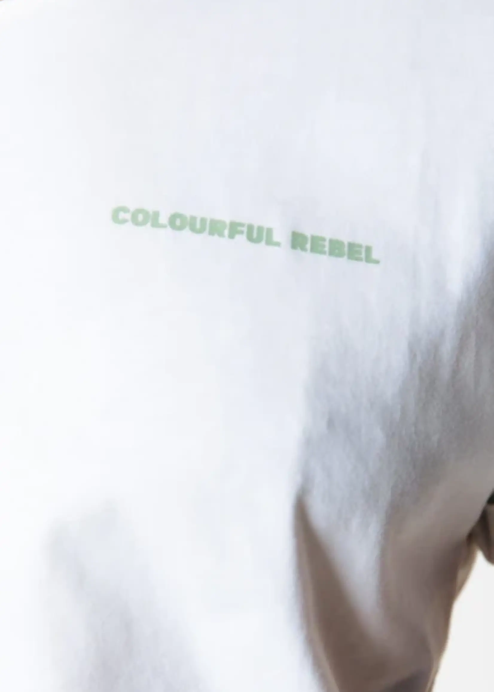 Colourful Rebel Travel Tee | Off white