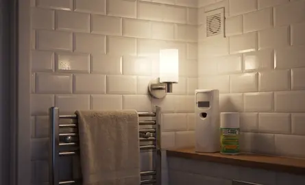 How to Get Rid of Silverfish in the Bathroom