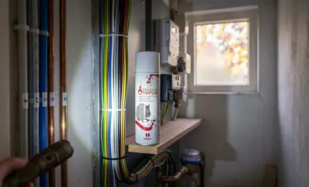 Muizen knagen aan kabels, zo voorkom je knaagschade
