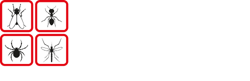 Insect Free