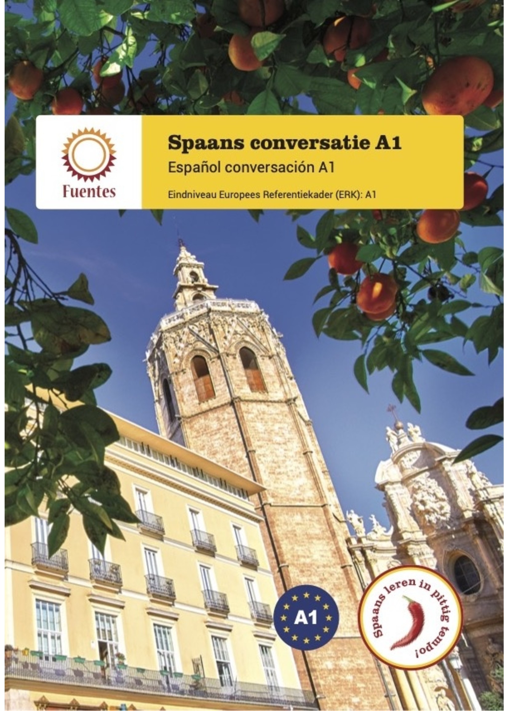 Spaans conversatie A1 - lesboek