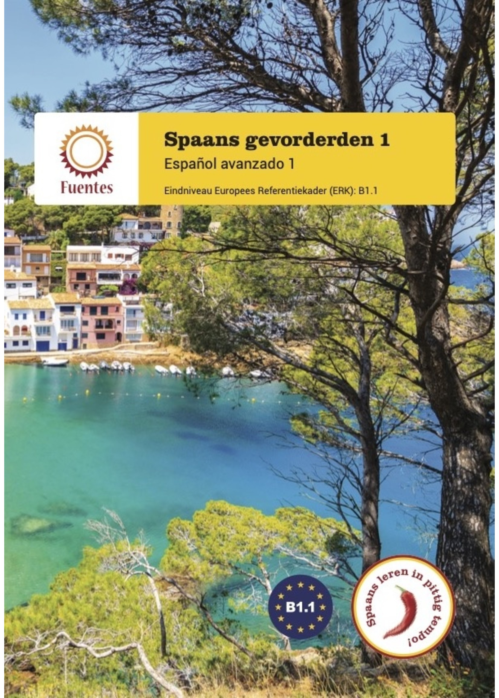 Spaans gevorderden 1 - lesboek