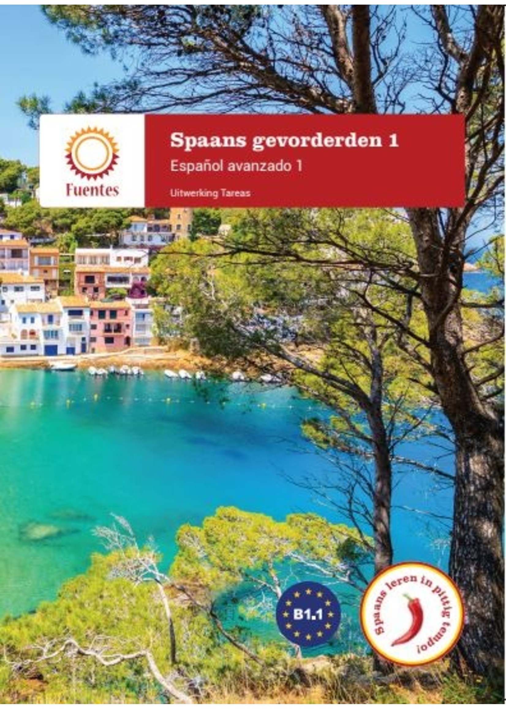 Spaans gevorderden 1 - uitwerkingen