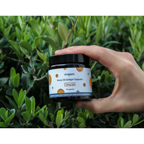 DishGraphy Hanföl Kapseln