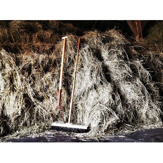 Waterarea Arenga coarse broom