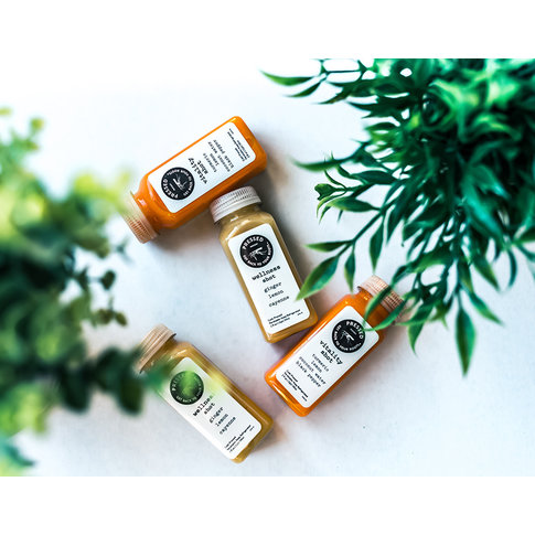 Vegetarian Gepresste Biosaft- Shots