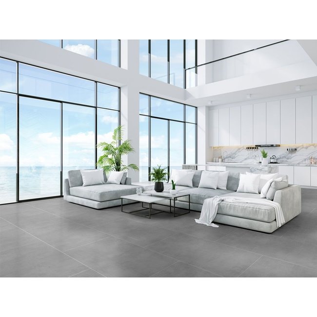 Fentinova Tegel Stark Grey Mat 120x60cm