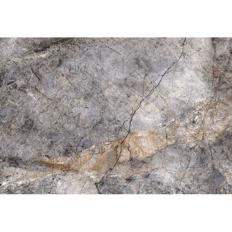 Fentinova Tegel Martins Dark Glossy 120x60cm