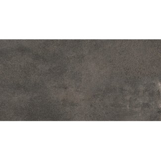 Fentinova Tegel Choice Grey Mat 120x60cm