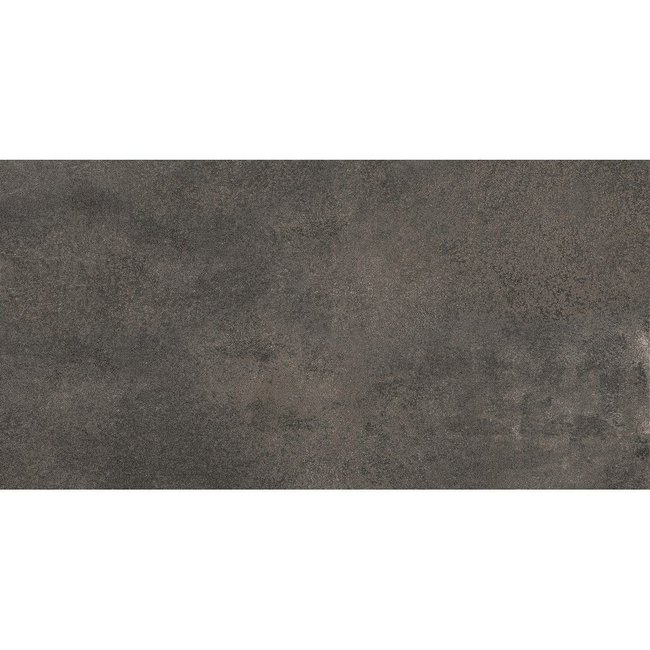 Fentinova Tegel Choice Grey Mat 120x60cm