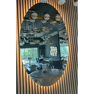 Ovale spiegel met verlichting