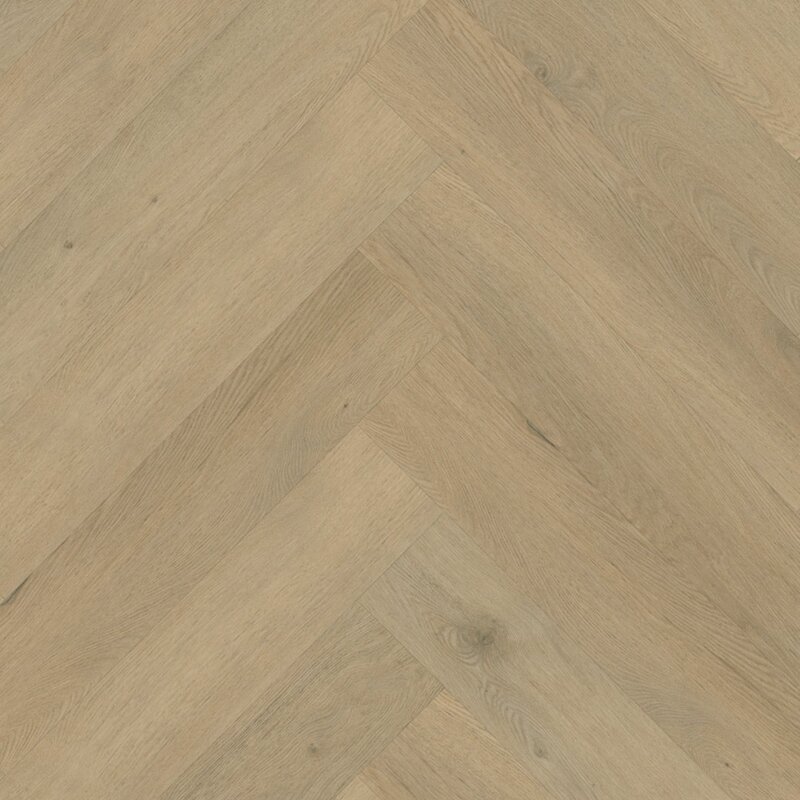 Visgraat Amsterdam Plak