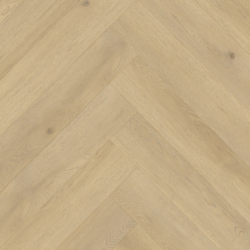 Visgraat Brussel Plak