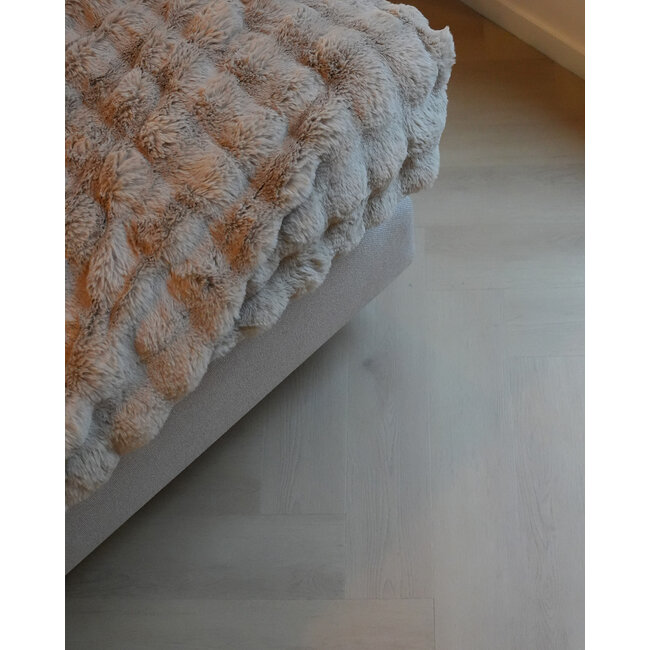 Visgraat Brussel klik