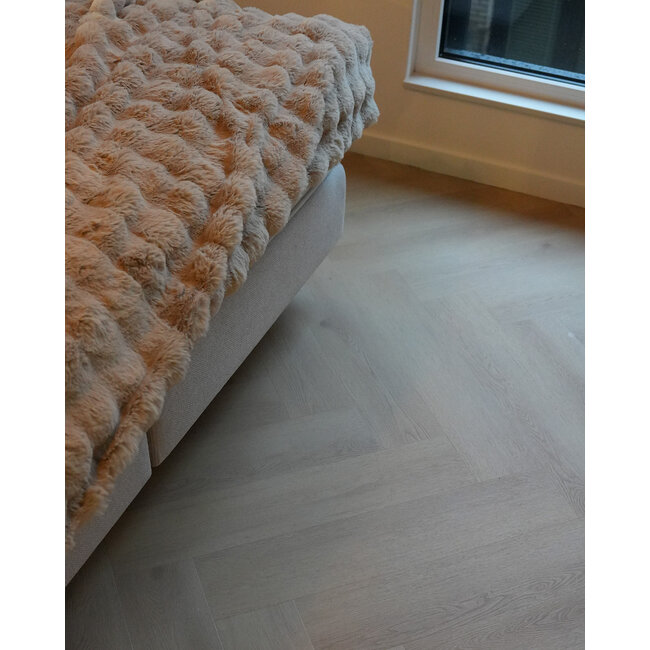 Visgraat Brussel klik