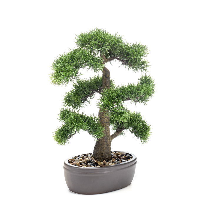 Emerald Kunst bonsai Cedar 45cm in pot