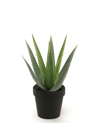 Emerald Kunstplant Aloe Vera 23cm in zwarte pot