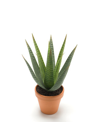 Emerald Kunstplant Aloe Vera 23cm in terracotta pot