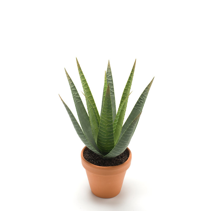 Emerald Kunstplant Aloe Vera 23cm in terracotta pot