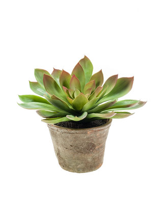 Emerald Kunstplant Echeveria groen/bordeaux 30cm in aged pot