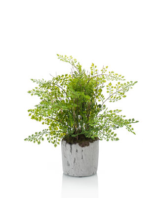 Emerald Kunstplant Varen Adianthum 30cm in cement pot