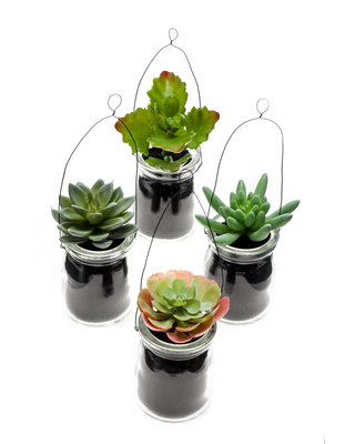 Emerald Kunst vetplanten mix 11cm set van 4 in hangpot