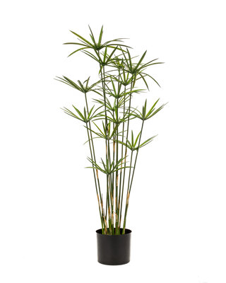 Emerald Kunst Grasplant Cyperus 90cm