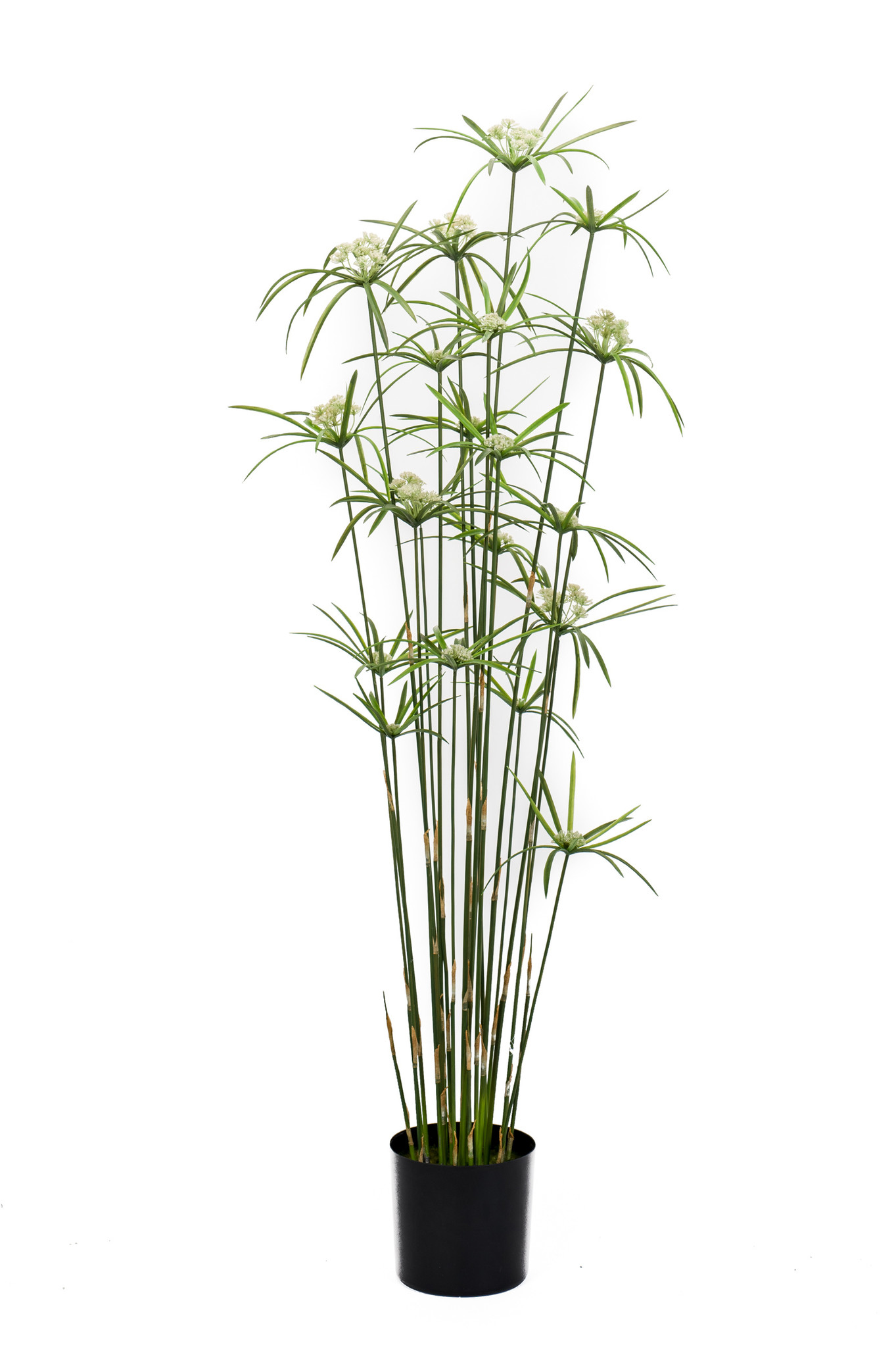 Floralike Kunst Grasplant Cyperus 150cm