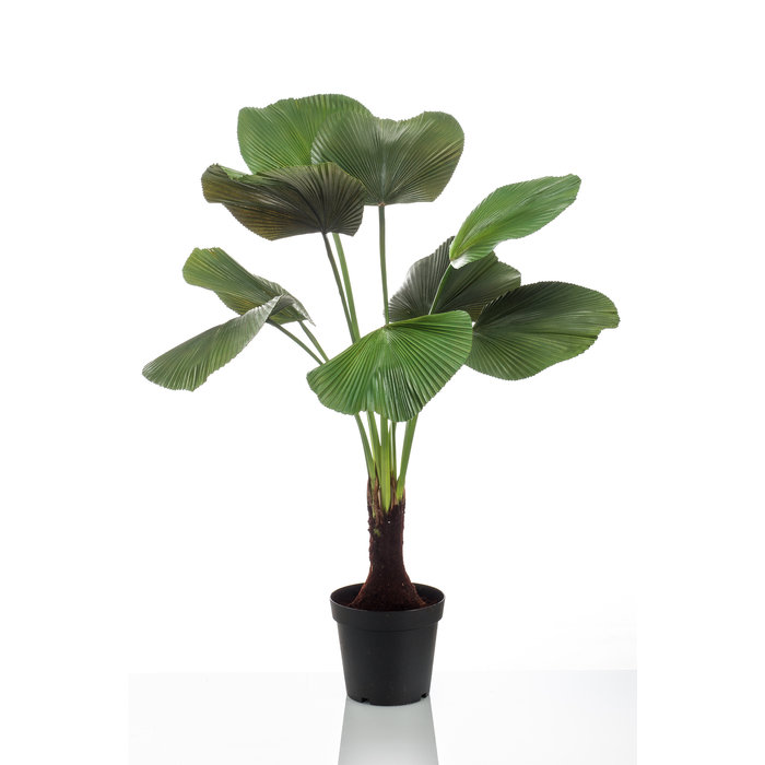 Emerald Kunstpalm Licuala 130cm