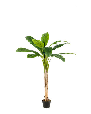 Emerald Kunst Bananenboom 150cm