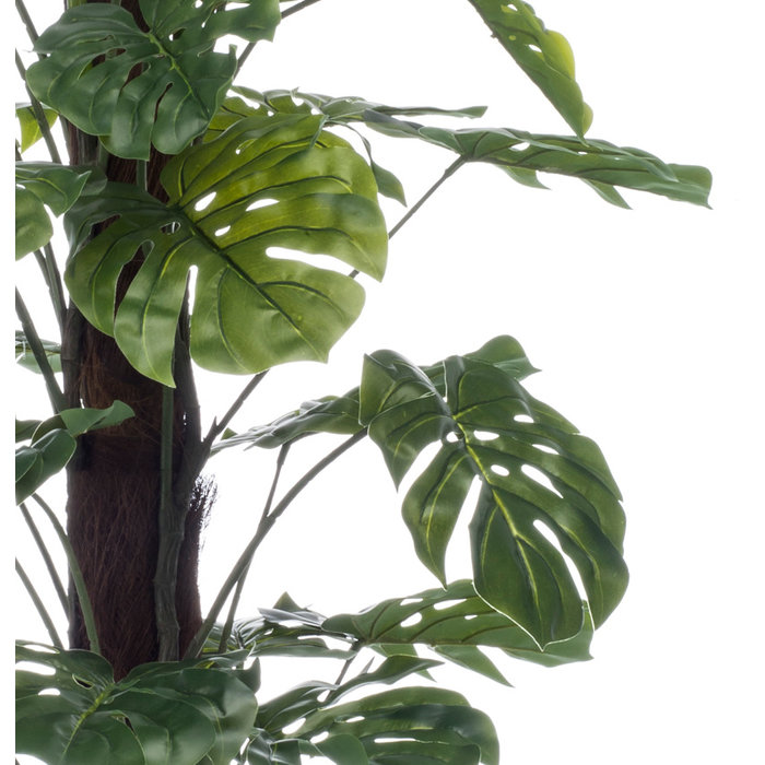 Emerald Kunst Gatenplant (Monstera) met stam 120cm