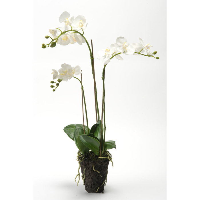 Emerald Kunstplant Vlinderorchidee (Phalaenopsis) 75cm
