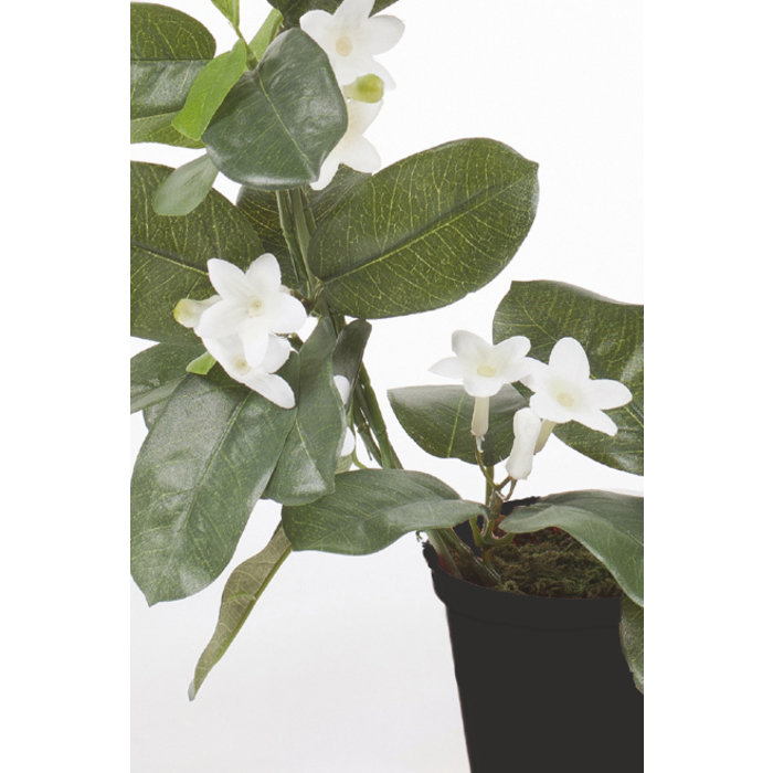 Emerald Kunstplant Bruidsbloem Stephanotis ring 40cm in pot