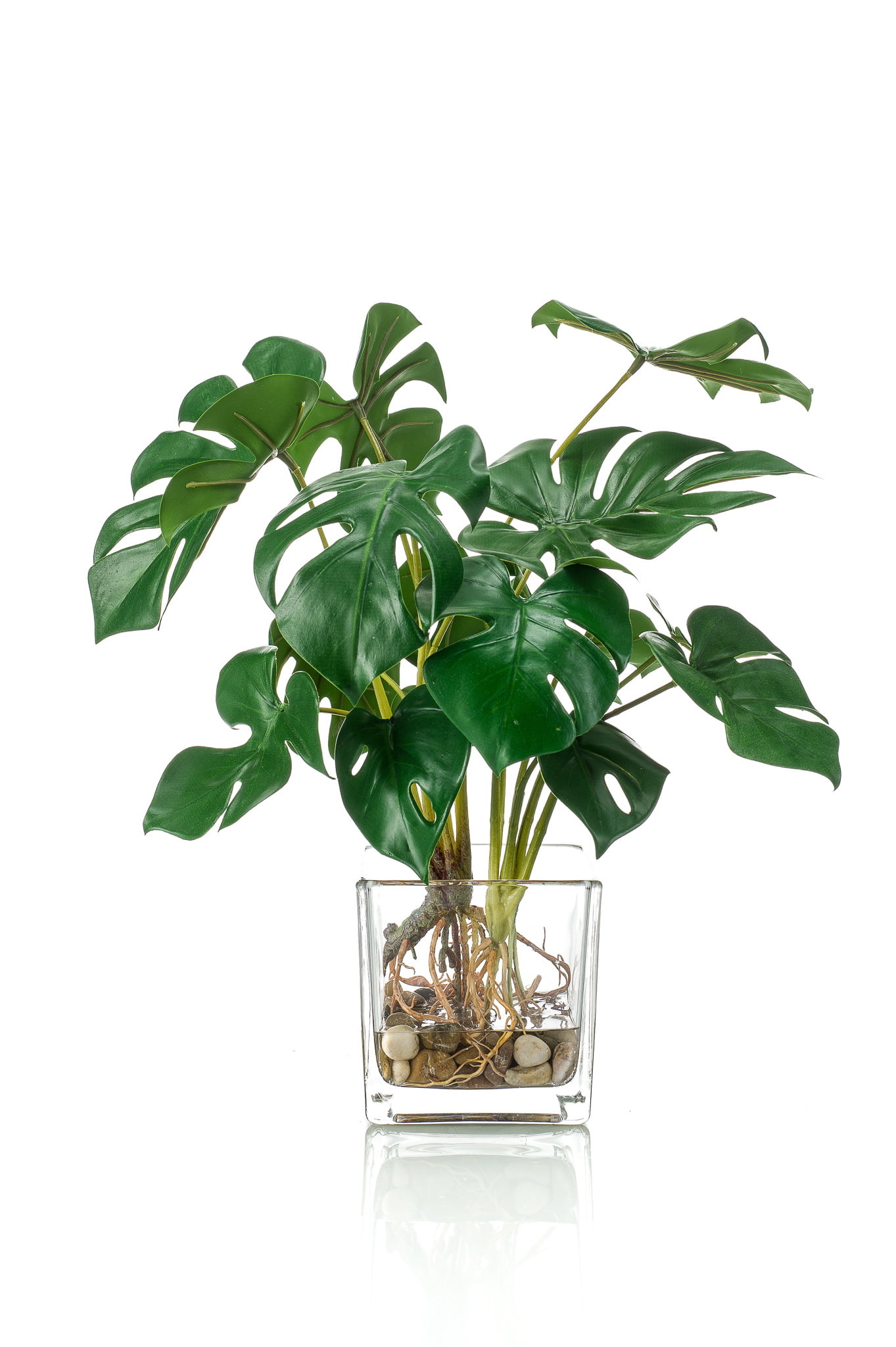 Omgekeerde Reciteren Vaderlijk Kunstplant Gatenplant 45cm in glazen pot - Floralike - Kunstplanten -  Floralike